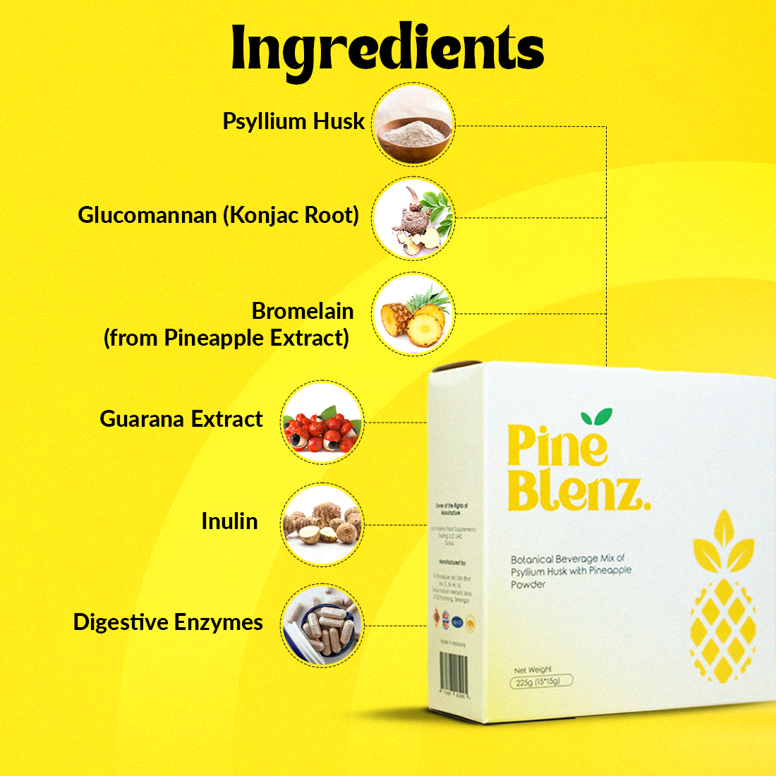 Pine Blenz - Natural Weight & Gut Health Support